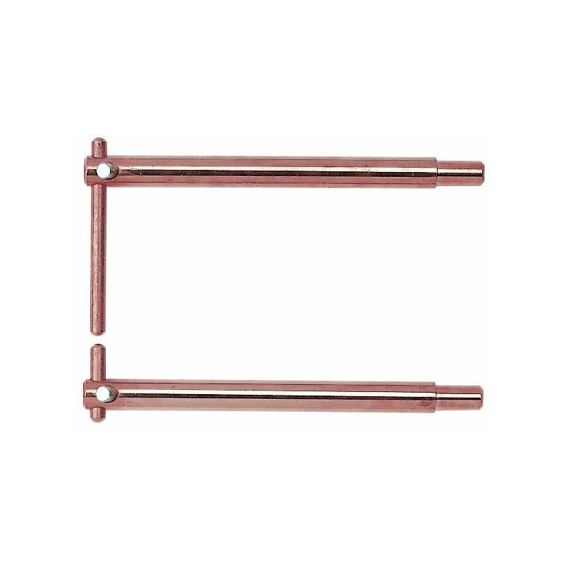 XA6 STRAIGHT ARMS L=250MM + ELECTRODES